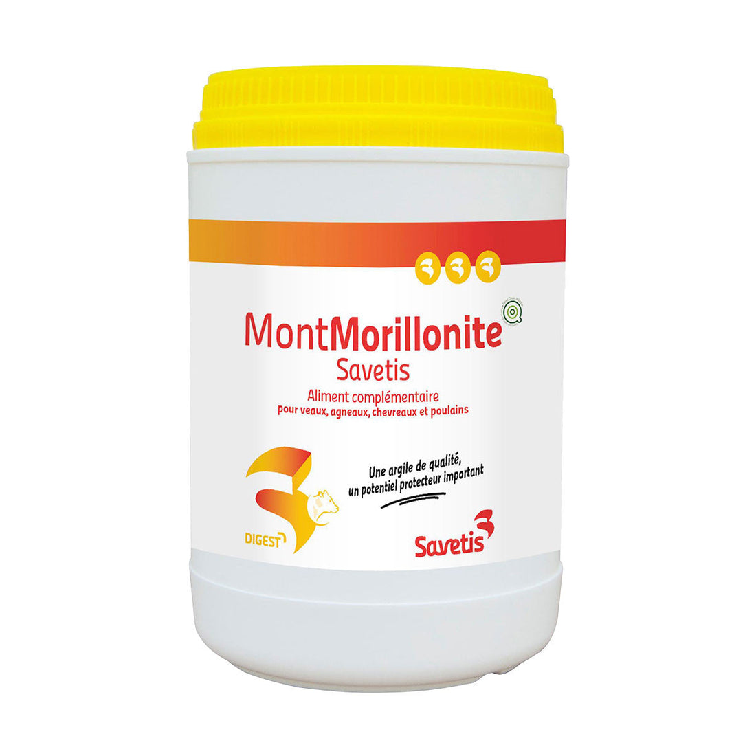 Montmorillonite Chat