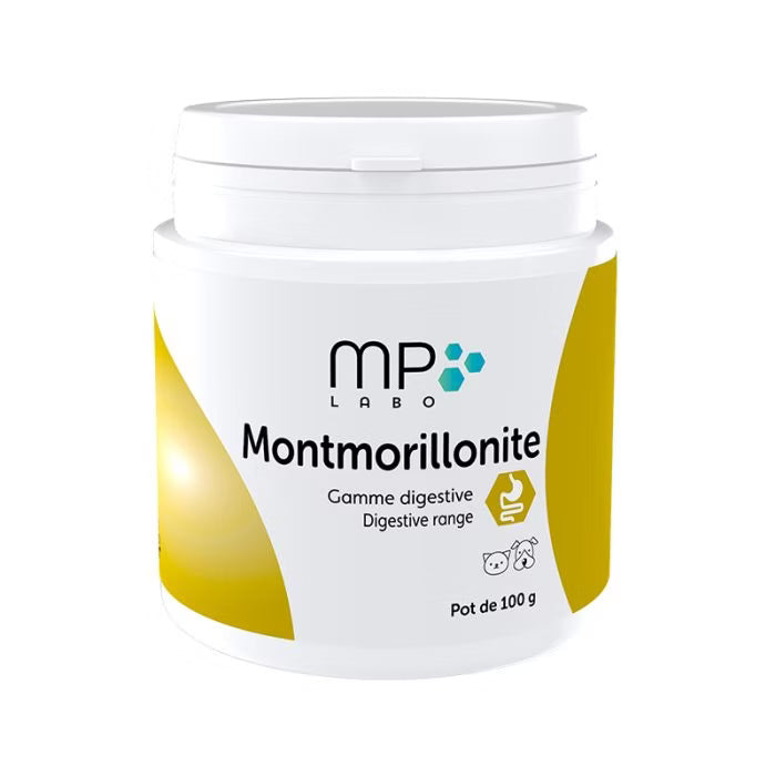 Montmorillonite Chat Chien