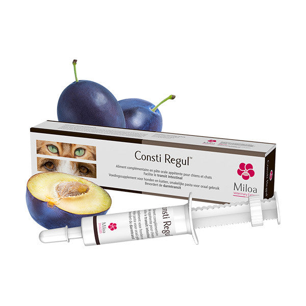 Consti Regul