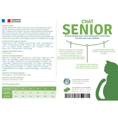 Preference Chat Senior