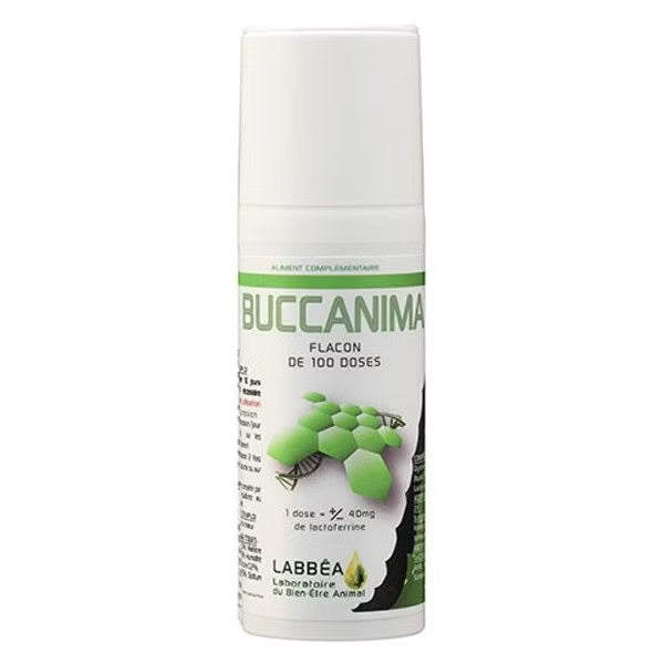 Buccanima Chat Chien Nac