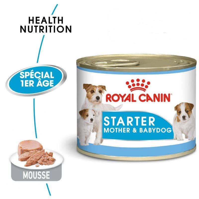 Hn Chien Motherbaby Starter