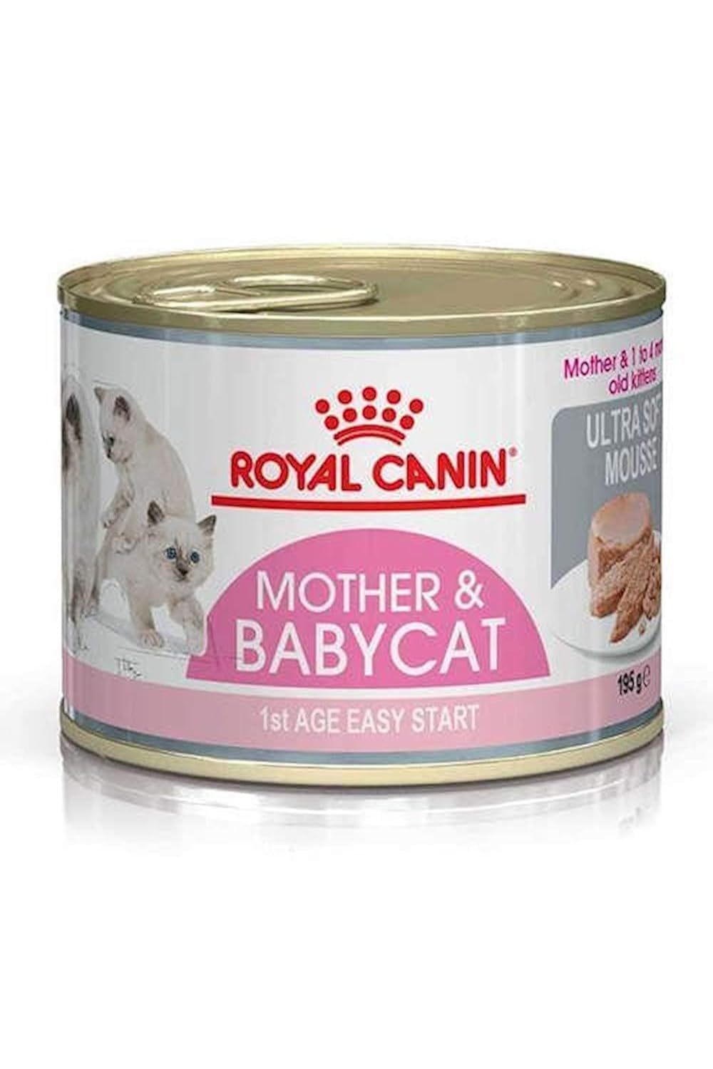 Hn Motherbabycat