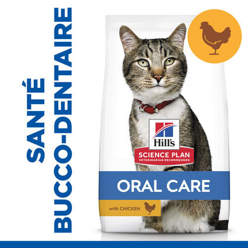 Sp Chat Adult 1+ Oral Care