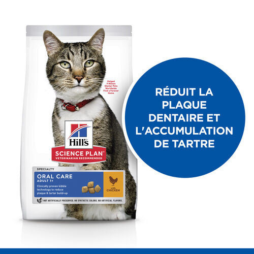 Sp Chat Adult 1+ Oral Care