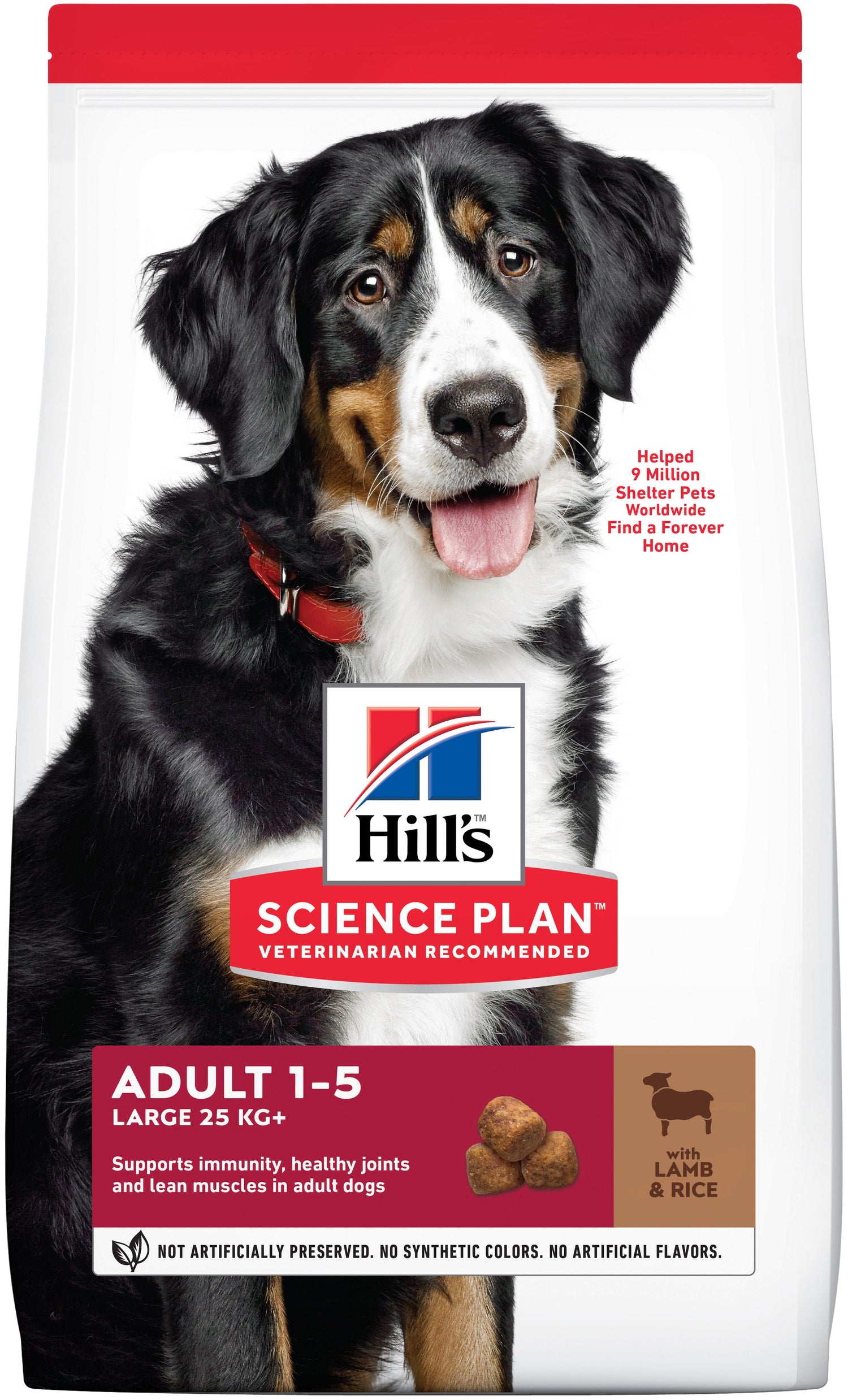 Sp Chien Adulte 1-5 Large Lambrice