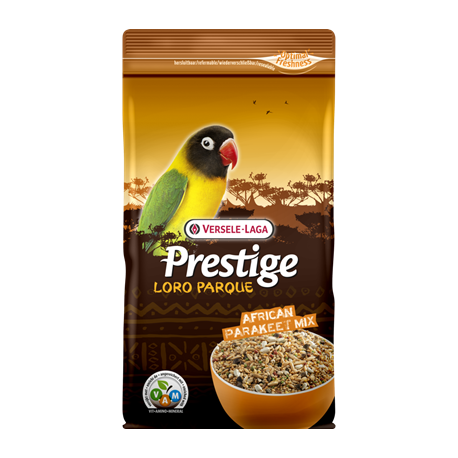 Grandes Perruches African