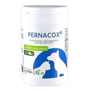 Pernacox Chat &amp; Chien