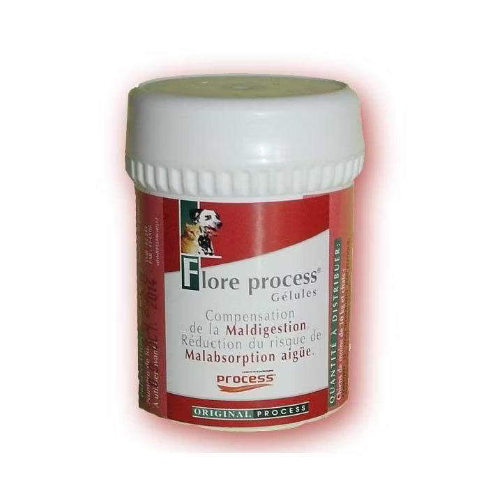 Flore Process Chat Chien