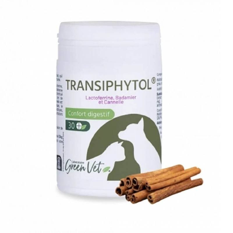 Transiphytol Chat &amp; Chien