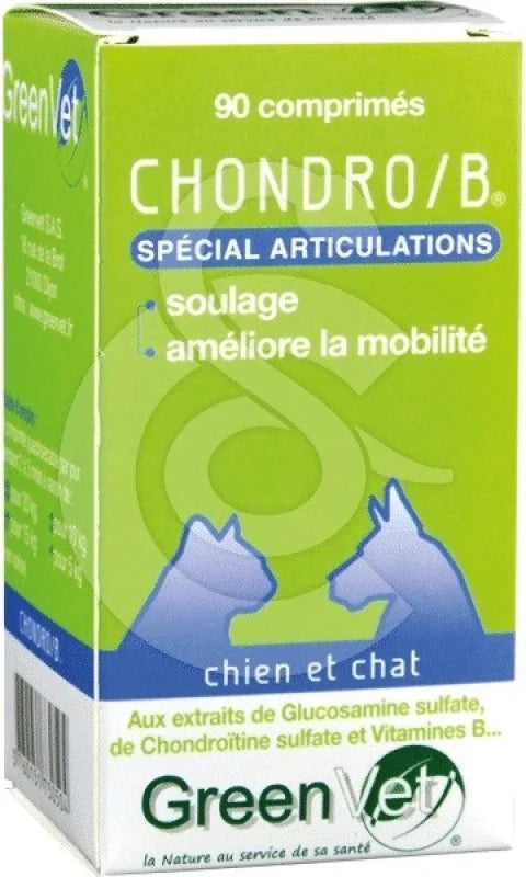 Chondro B Chat &amp; Chien