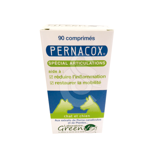 Pernacox Chat &amp; Chien