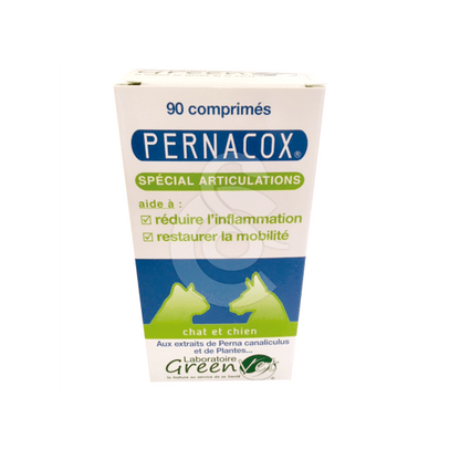 Pernacox Chat &amp; Chien
