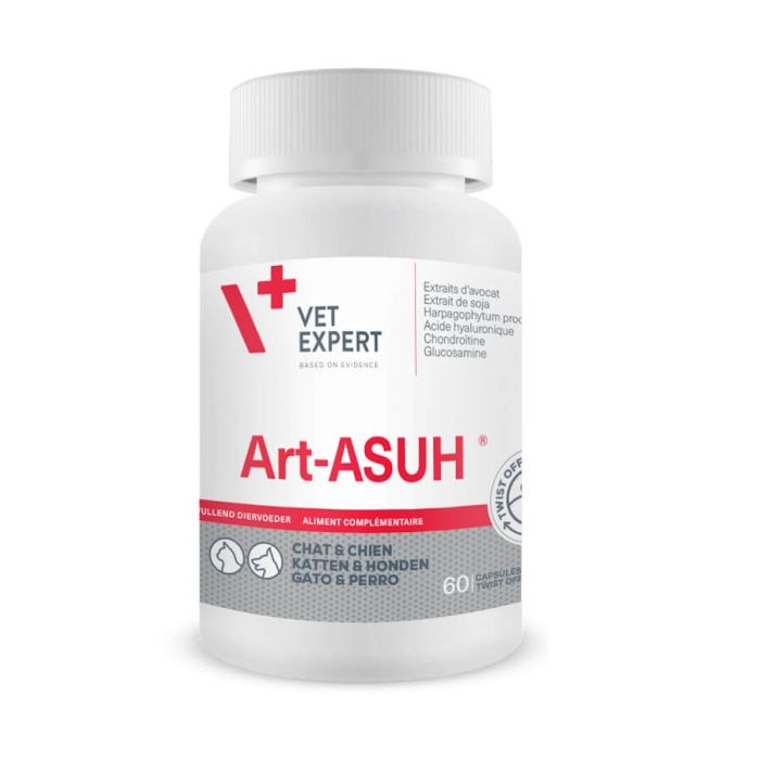 Art Asu XL