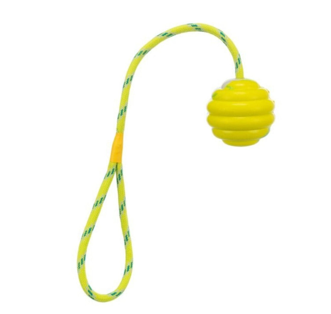 Balle à lancer