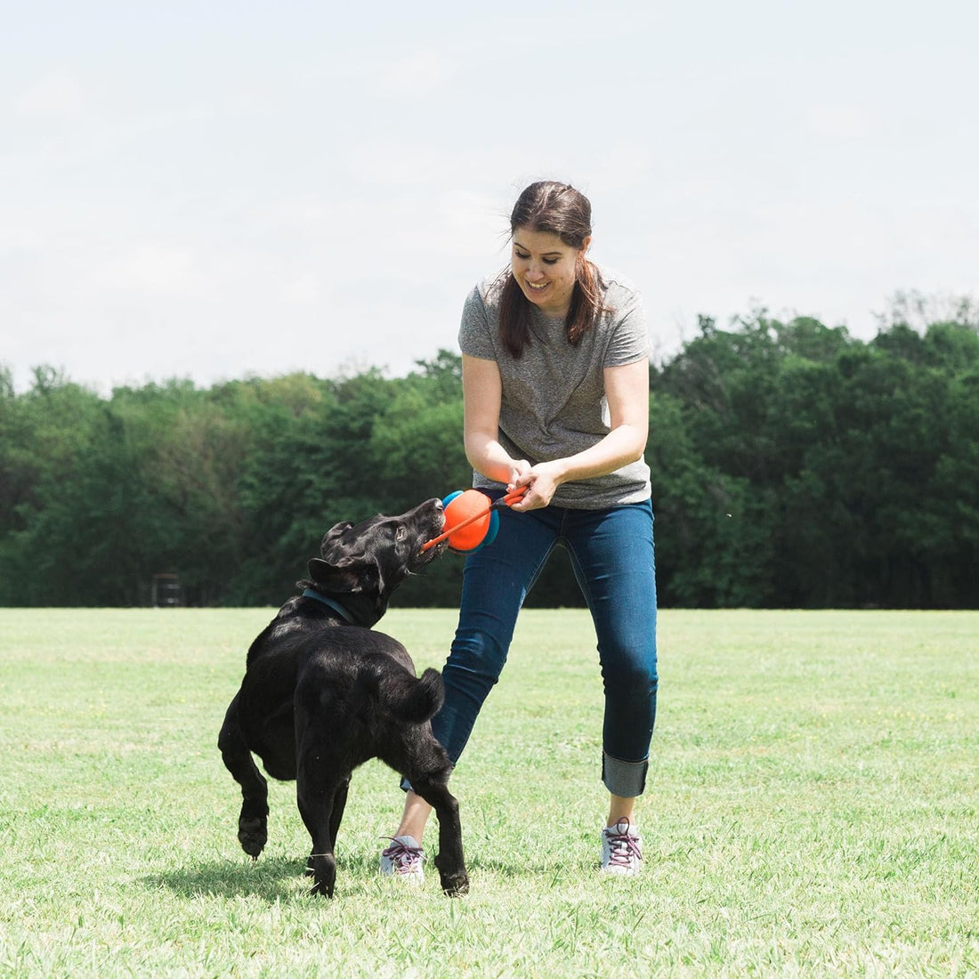 Jouet Rope Fetch Ballon 3 en 1