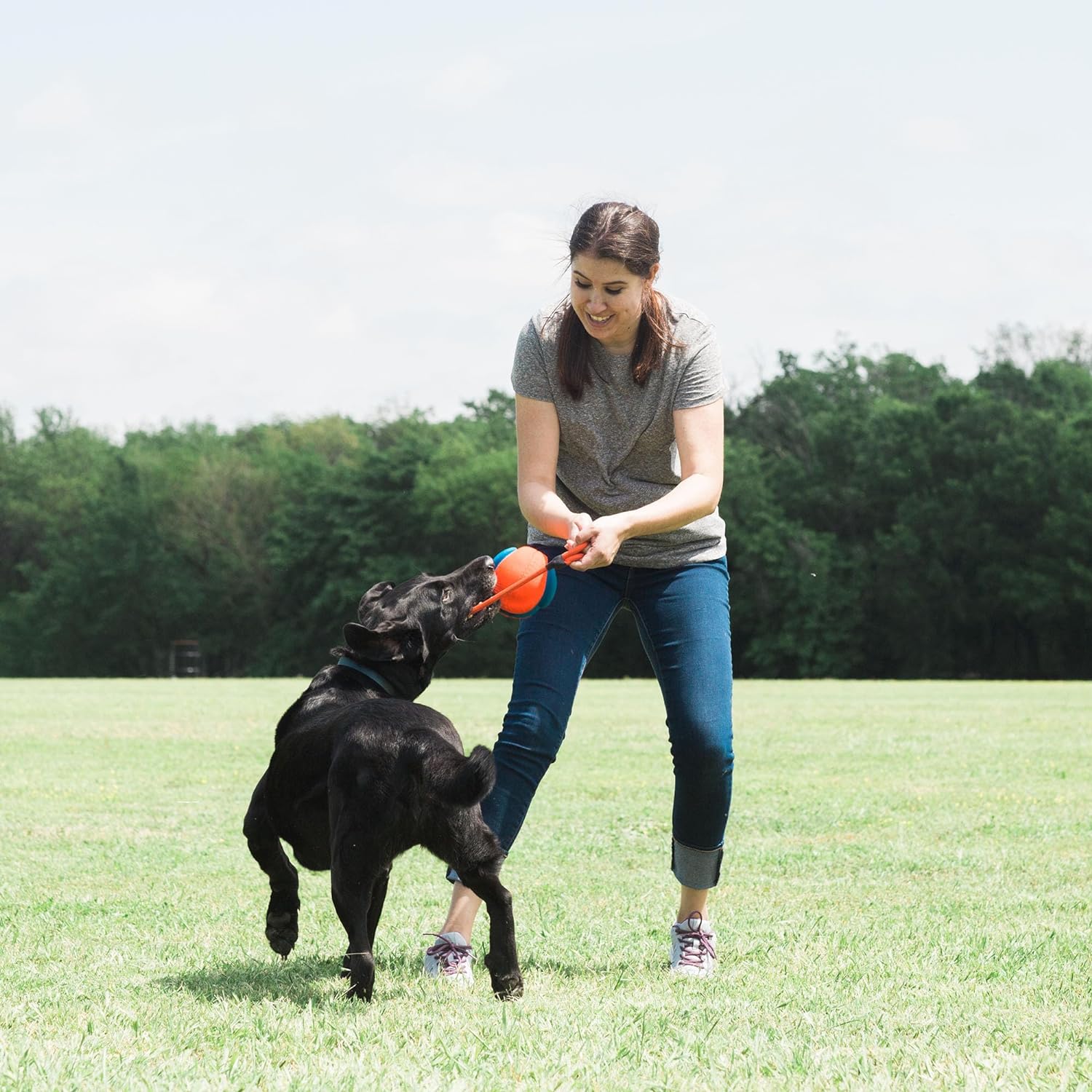 Jouet Rope Fetch Ballon 3 en 1