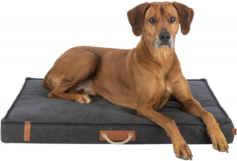 Coussin Be Nordic