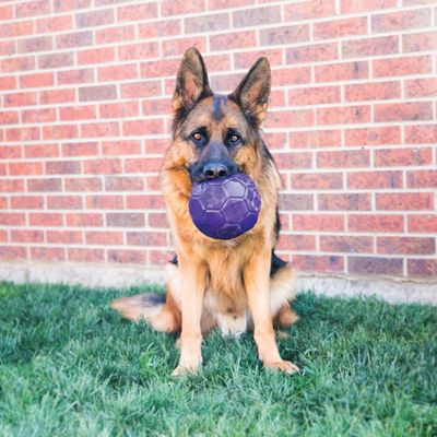 Jouet Kong Flexball