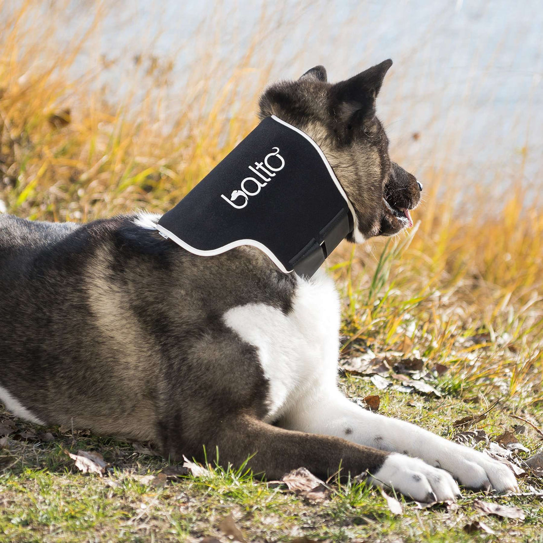 Minerve Balto Eco
