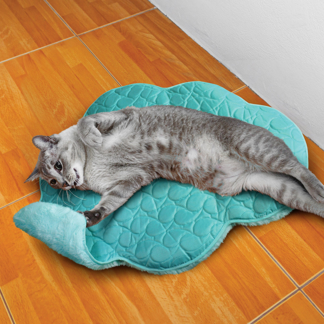 Jouet Kong Chat Play Spaces Cloud