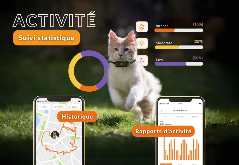 Gps Weenect Chat