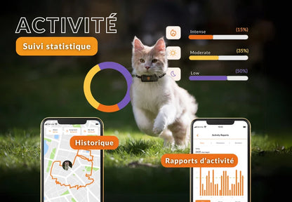 Gps Weenect Chat