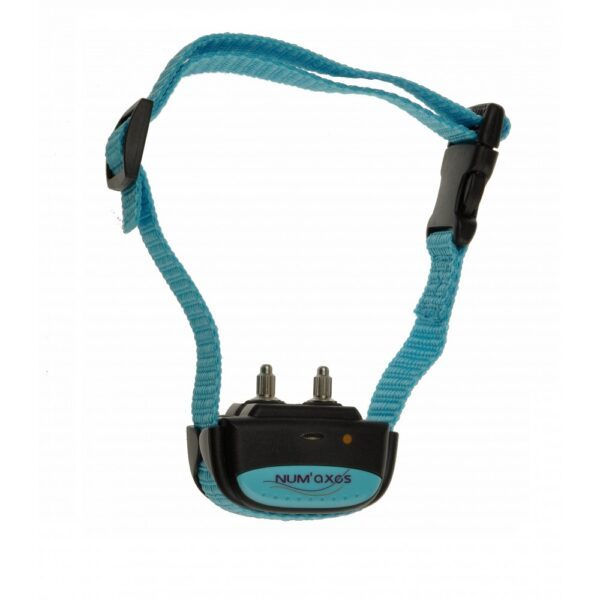 Collier anti-aboiement Iki Pulse