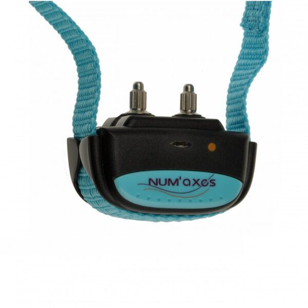 Collier anti-aboiement Iki Pulse