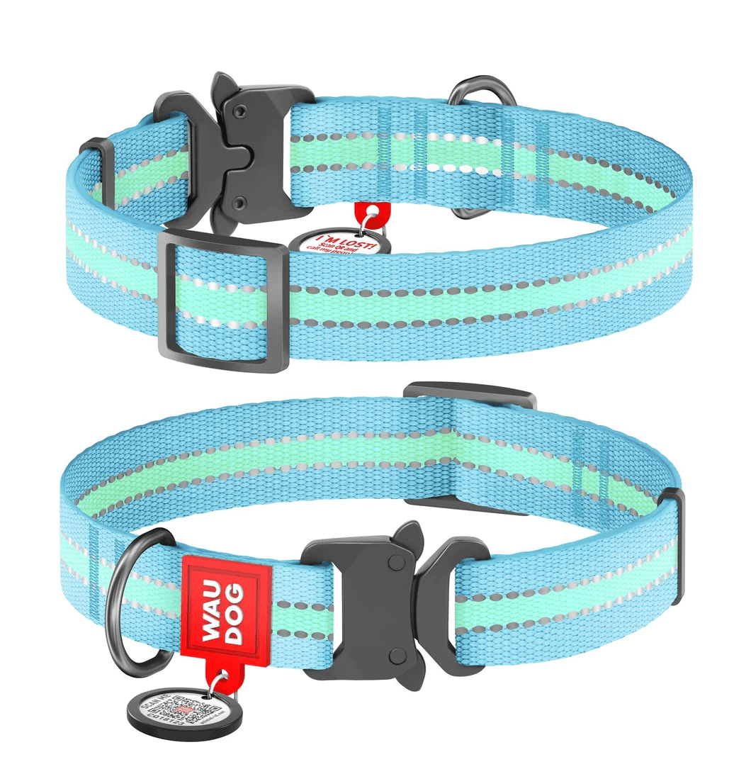 Collier fluorescent