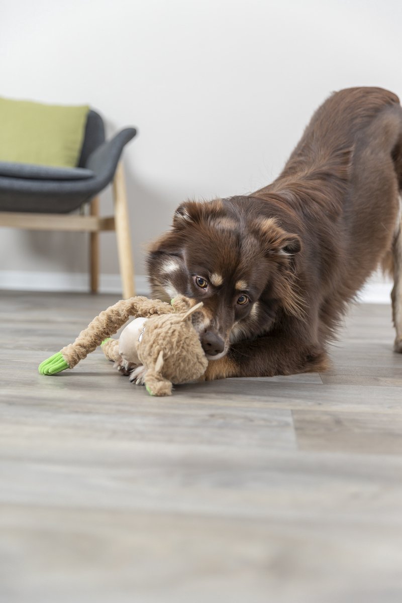 Jouet Peluche Corde Vache