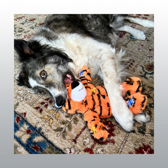 Jouet Kong Wild Knots Tiger