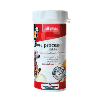 Flore Process Chat Chien