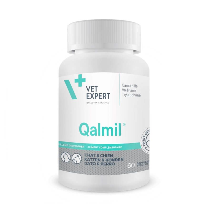 Qalmil