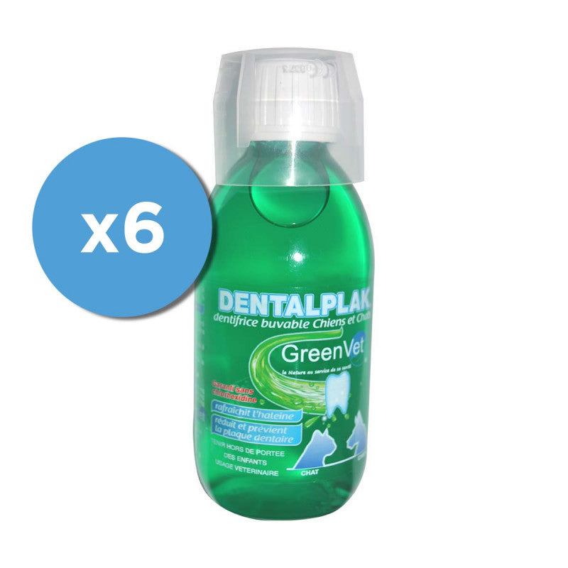 Dentalplak