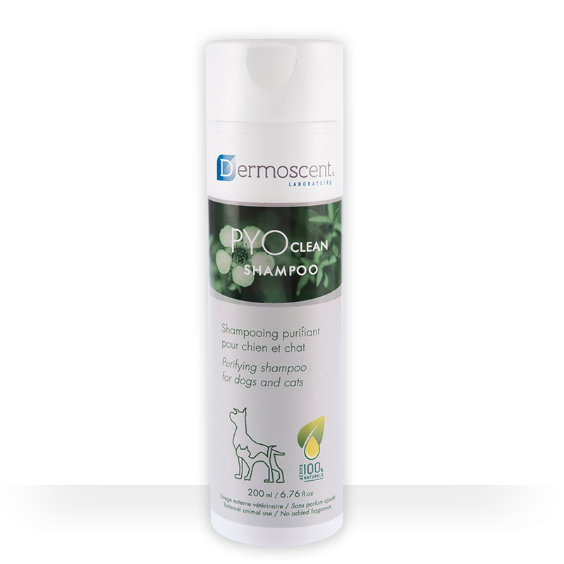 Dermoscent Pyoclean Shampoing