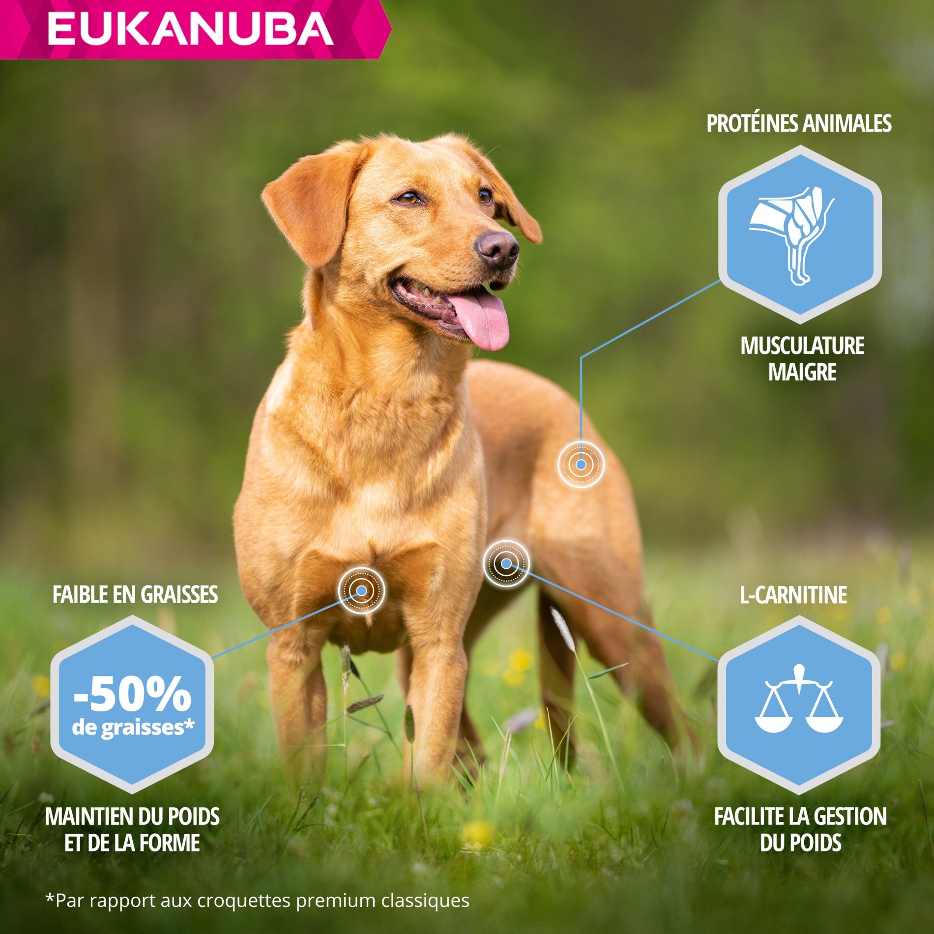 Eukanuba Daily Care Weight Control Small & Medium Breed