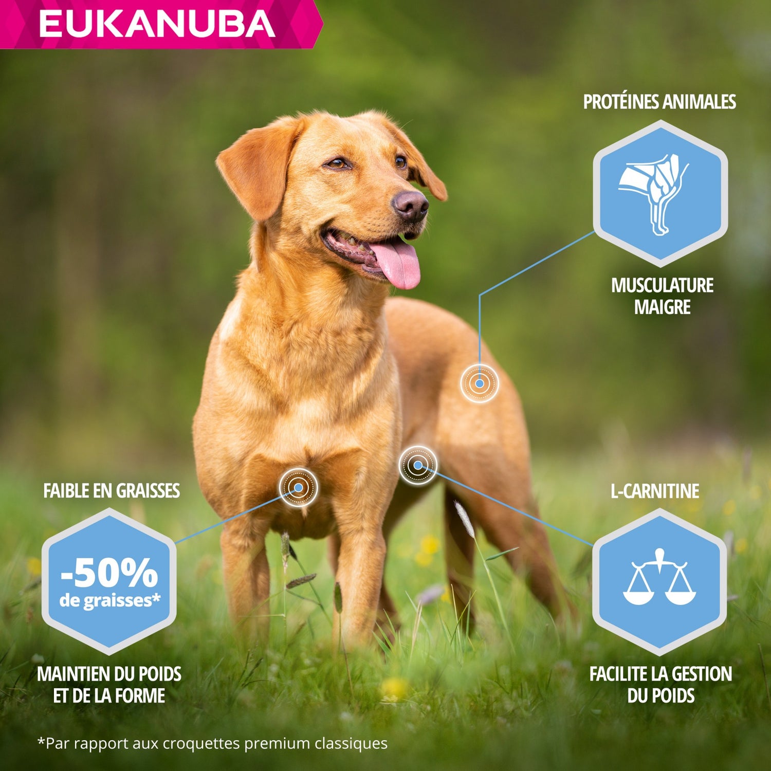 Eukanuba Daily Care Weight Control Small &amp; Medium Breed