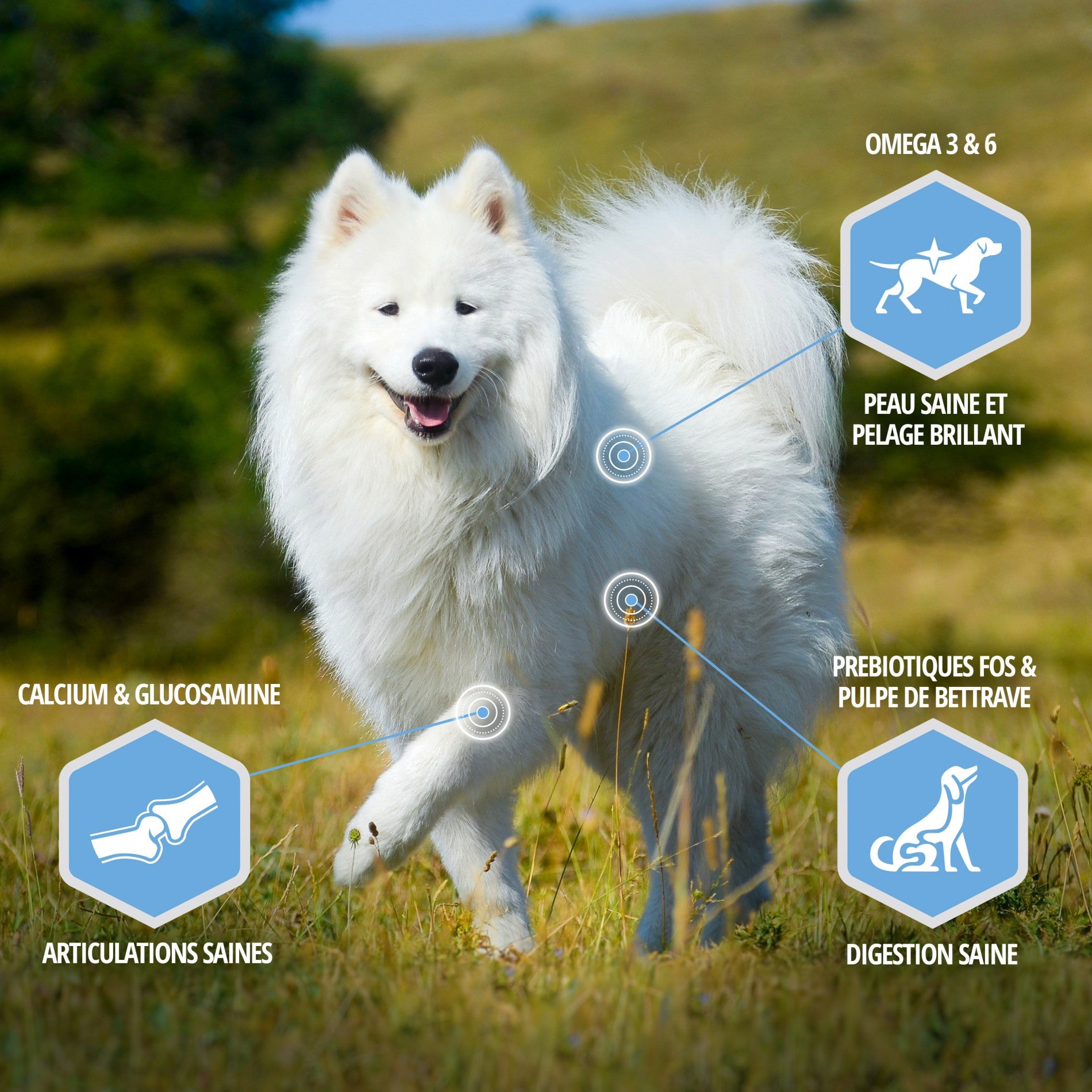 Eukanuba Daily Care Weight Control Small & Medium Breed