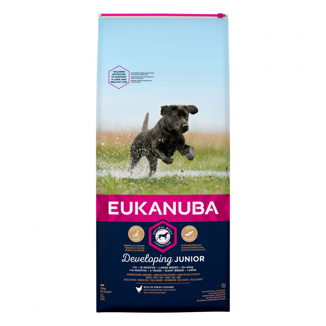 Eukanuba Junior Large &amp; Giant Breed