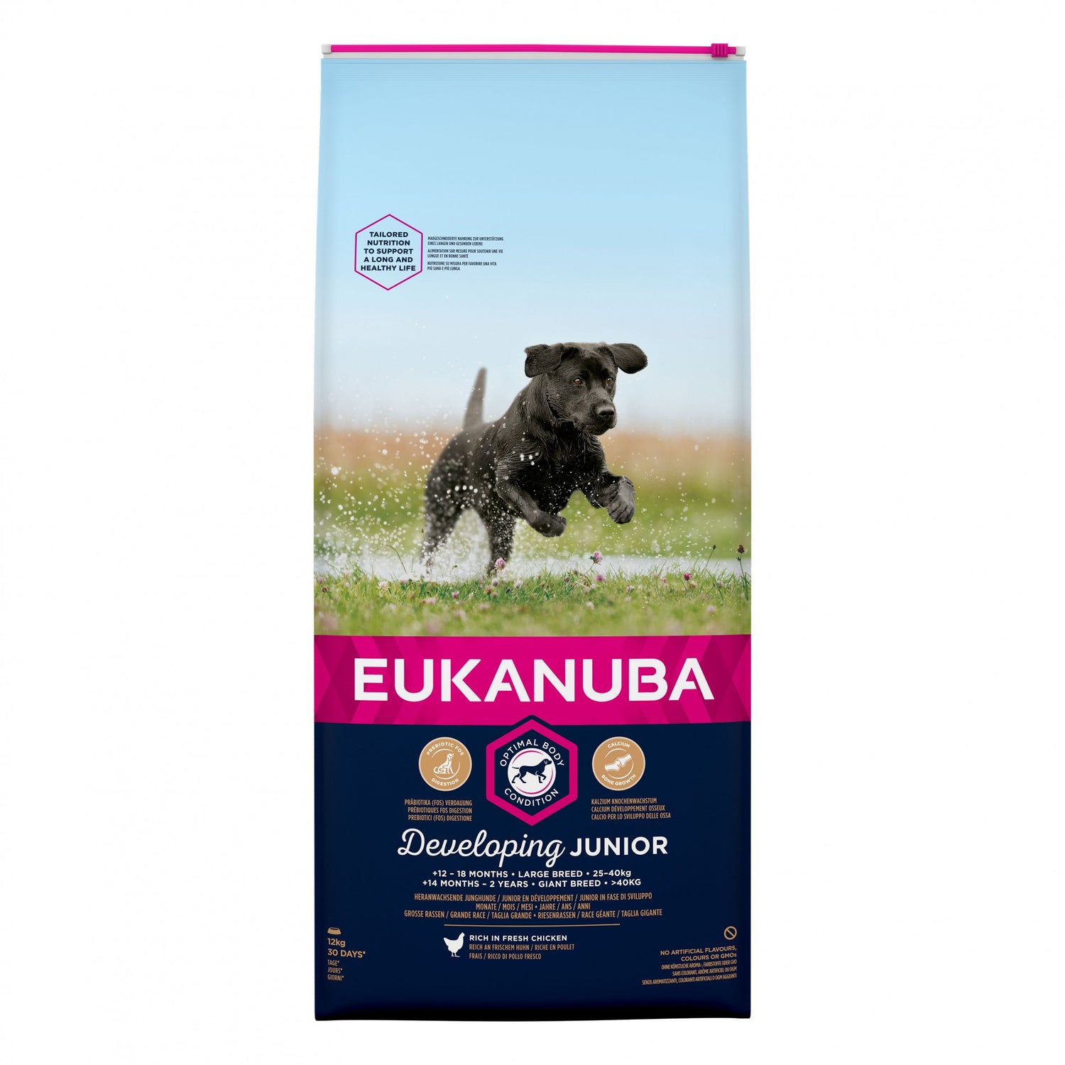 Eukanuba Junior Large &amp; Giant Breed