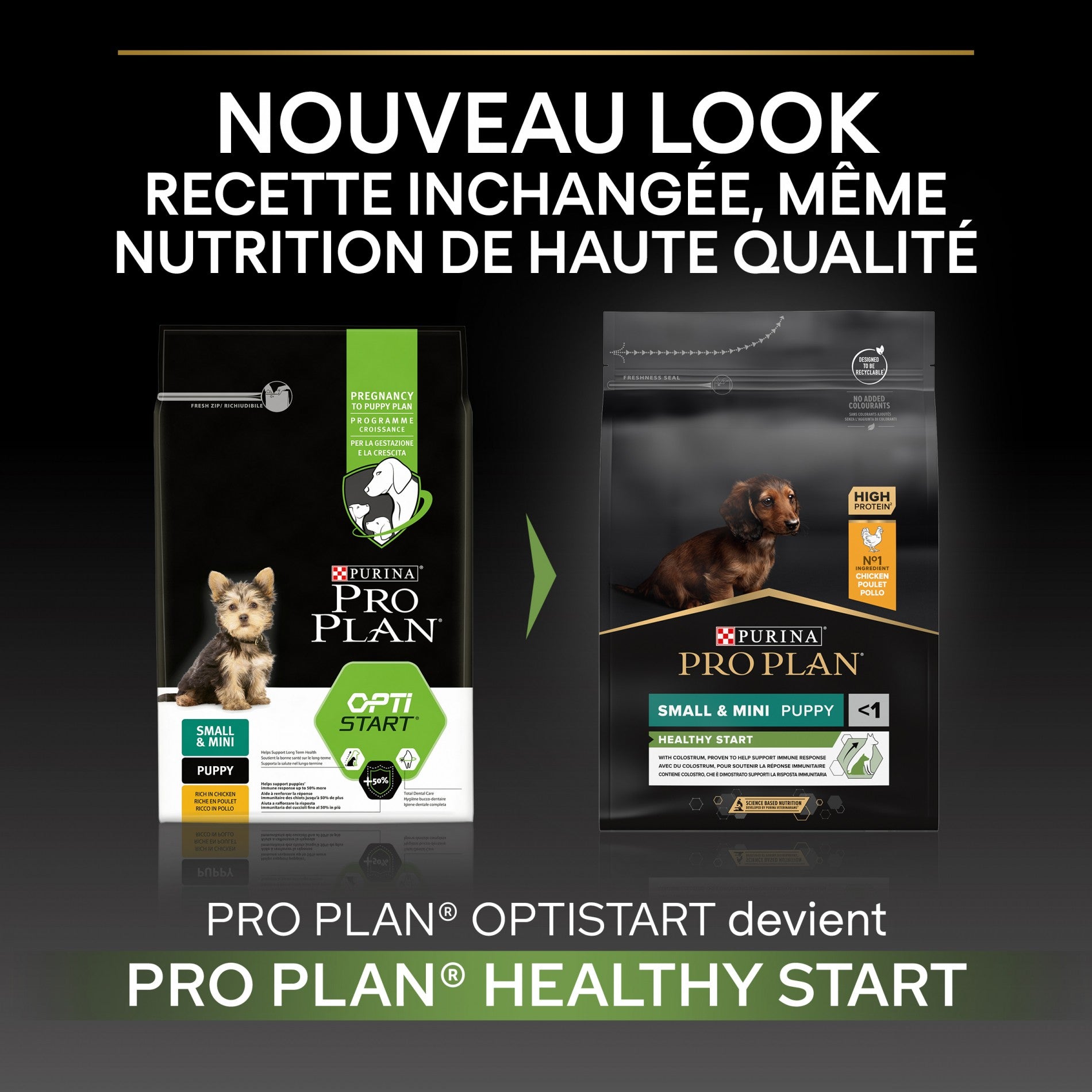 PRO PLAN Healthy Start Small &amp; Mini Puppy au Poulet - Croquettes pour chien