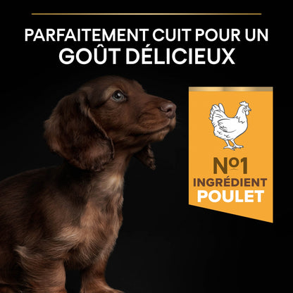 PRO PLAN Healthy Start Small &amp; Mini Puppy au Poulet - Croquettes pour chien