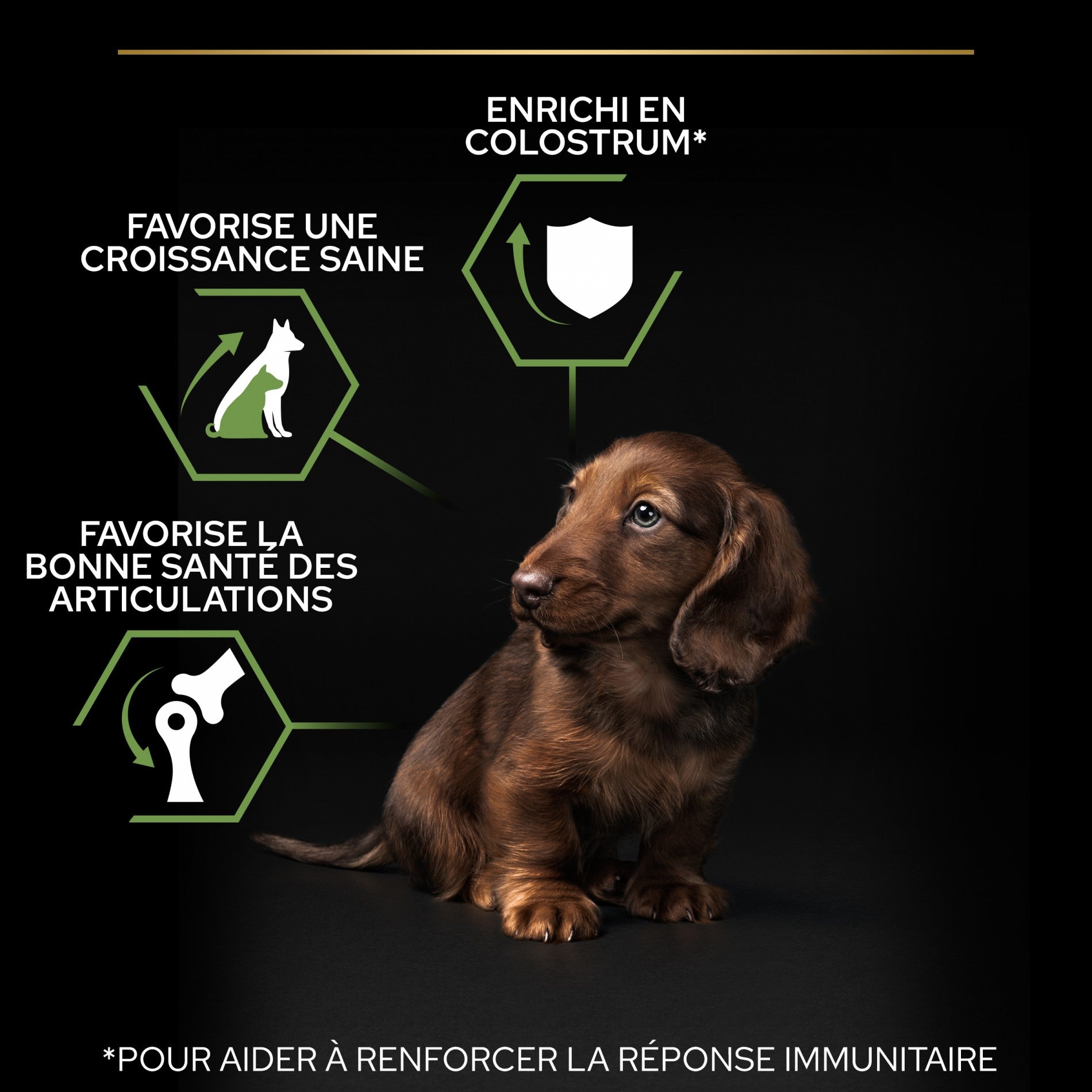 PRO PLAN Healthy Start Small &amp; Mini Puppy au Poulet - Croquettes pour chien