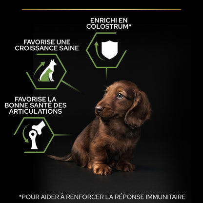 PRO PLAN Healthy Start Small &amp; Mini Puppy au Poulet - Croquettes pour chien