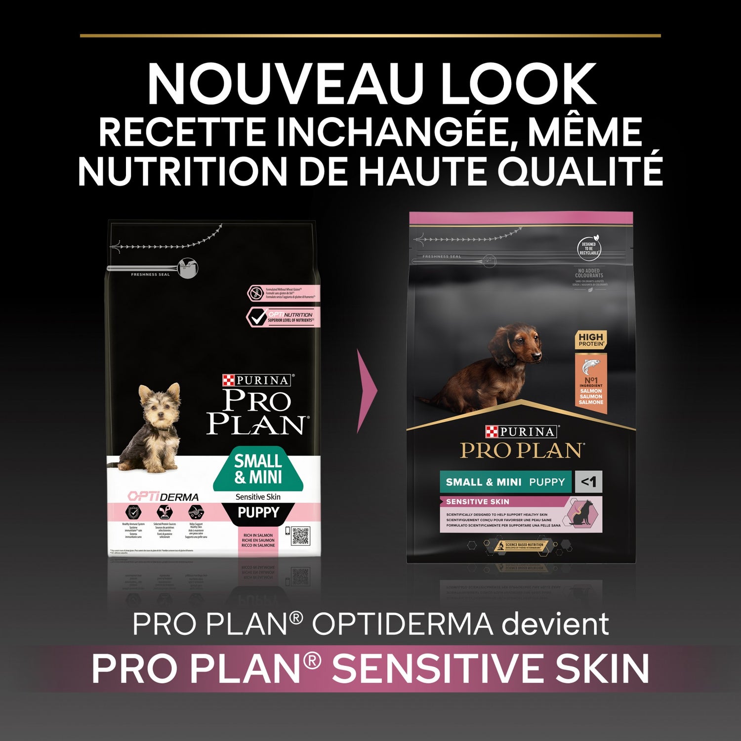 PRO PLAN Sensitive Skin Small &amp; Mini Puppy au Saumon - Croquettes pour chien
