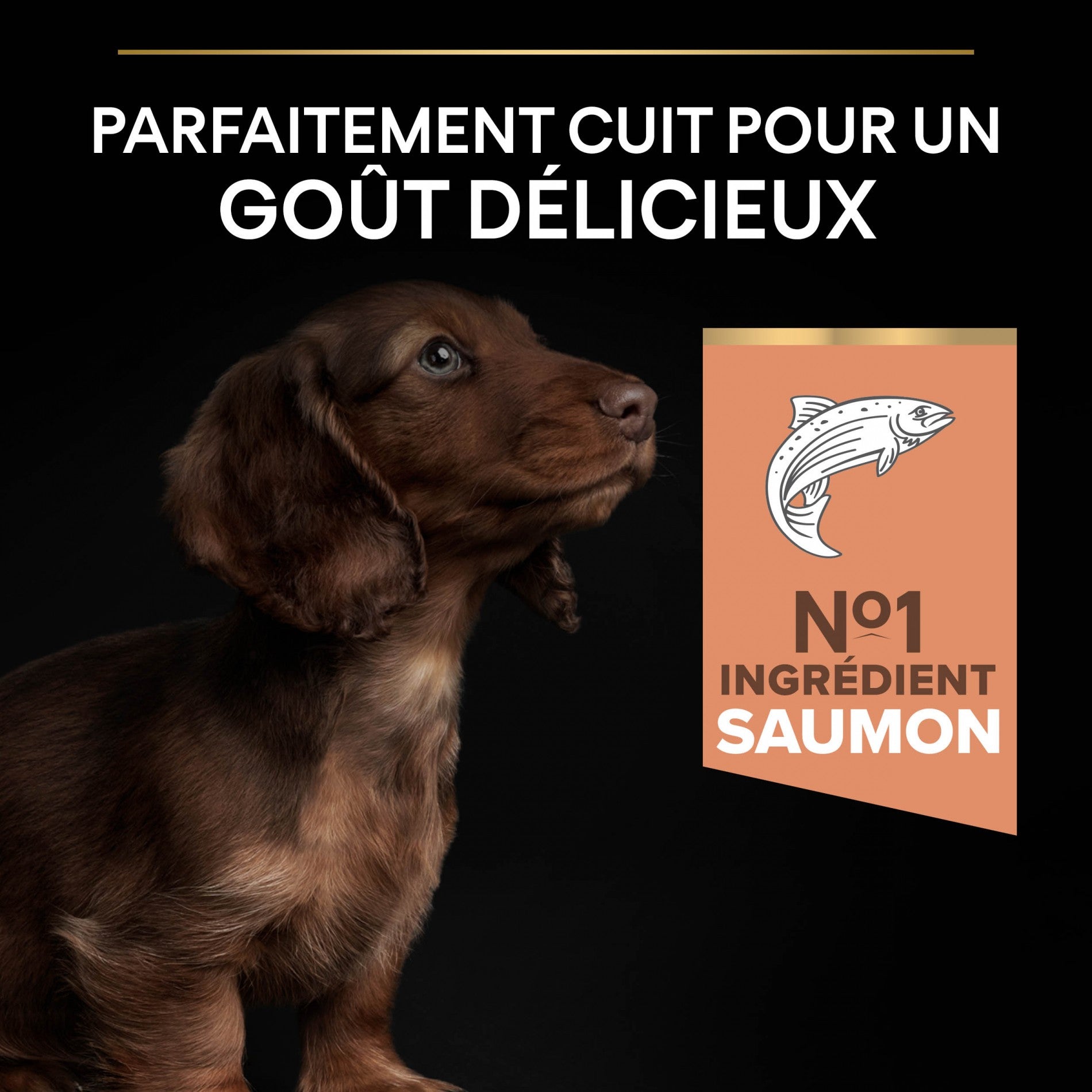 PRO PLAN Sensitive Skin Small &amp; Mini Puppy au Saumon - Croquettes pour chien