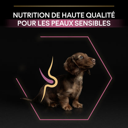PRO PLAN Sensitive Skin Small &amp; Mini Puppy au Saumon - Croquettes pour chien