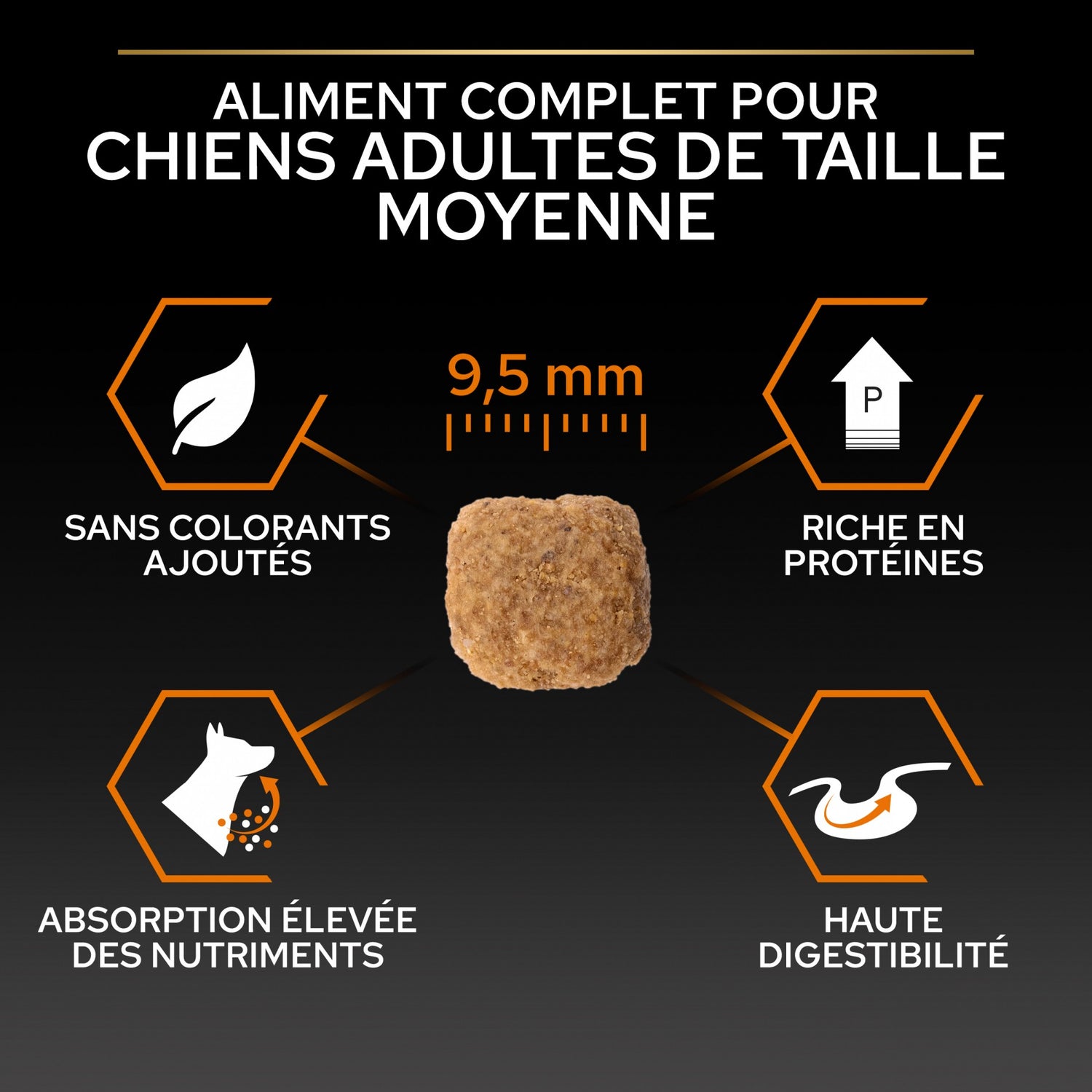 PRO PLAN Everyday Nutrition Small &amp; Mini Adult au Poulet - Croquettes pour chien