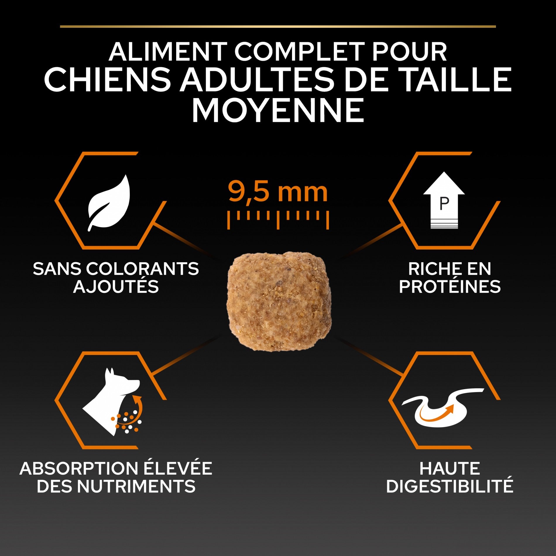 PRO PLAN Everyday Nutrition Small &amp; Mini Adult au Poulet - Croquettes pour chien